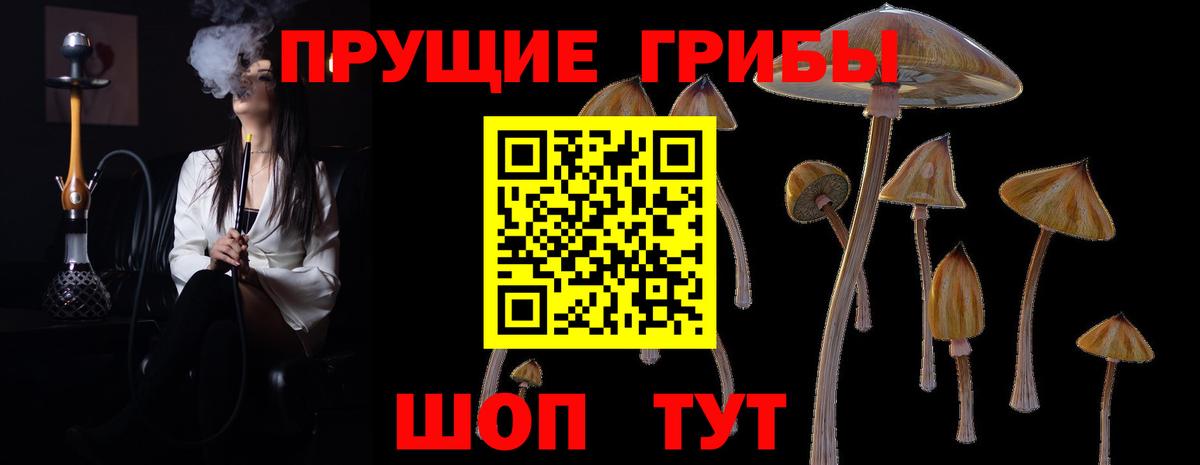 Псилоцибиновые грибы мицелий  Вход с VPN  Верхняя Пышма 